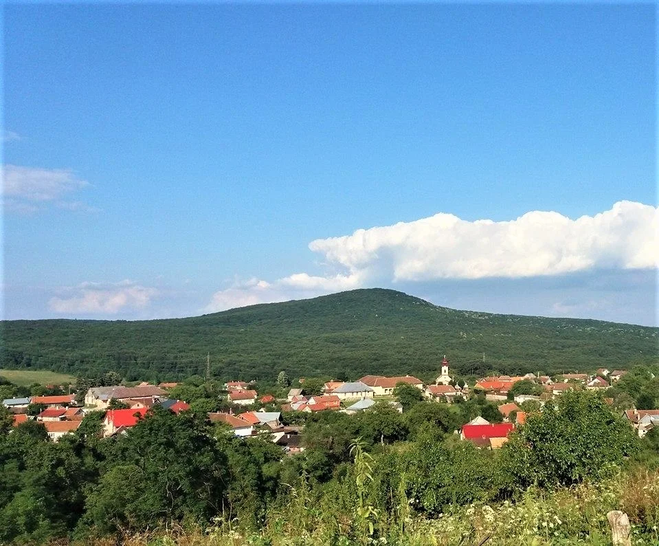 Panoramă a satului Cărbunari, cu biserica și dealurile din jur
